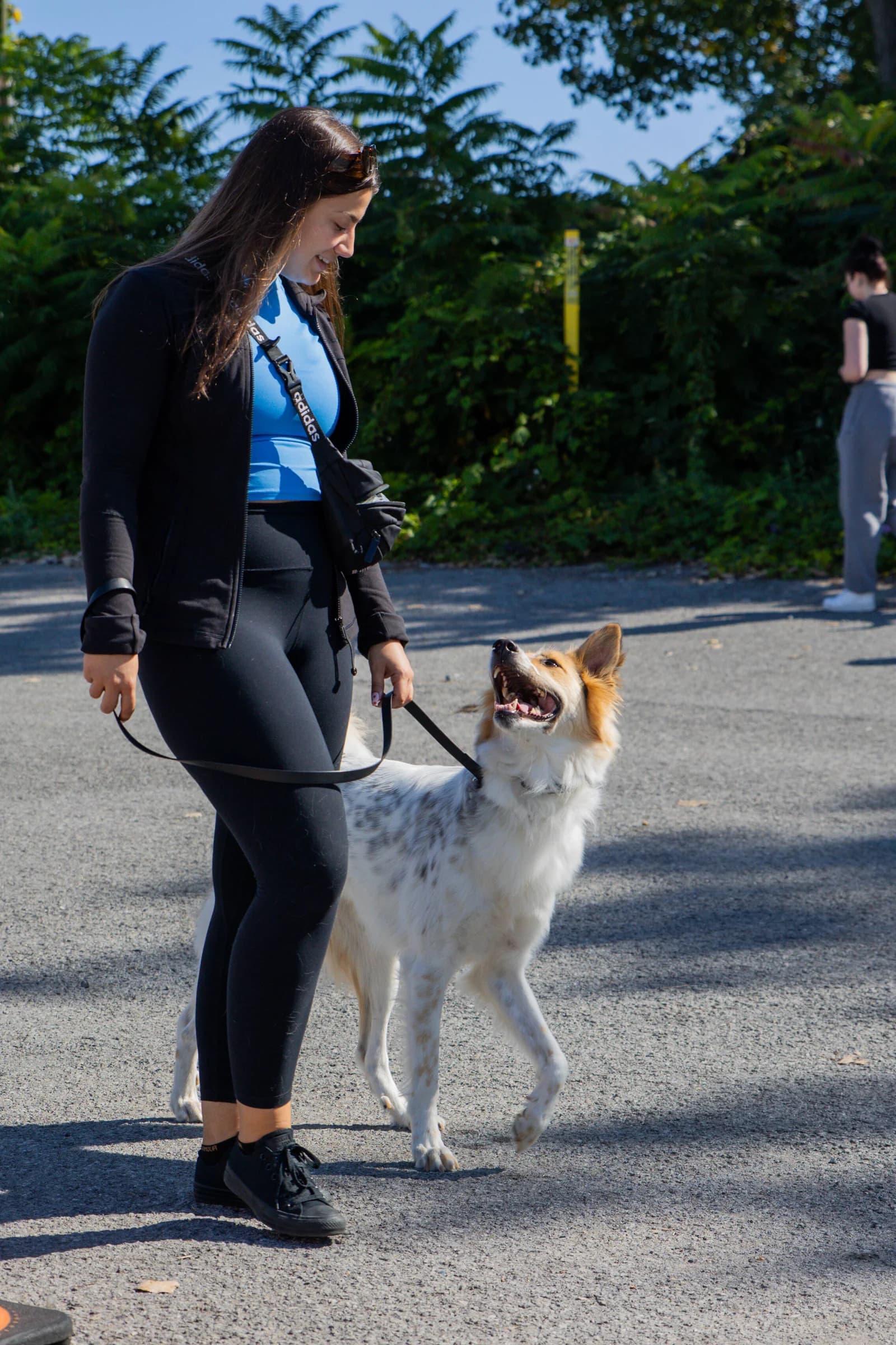 Level 2 Obedience Class
