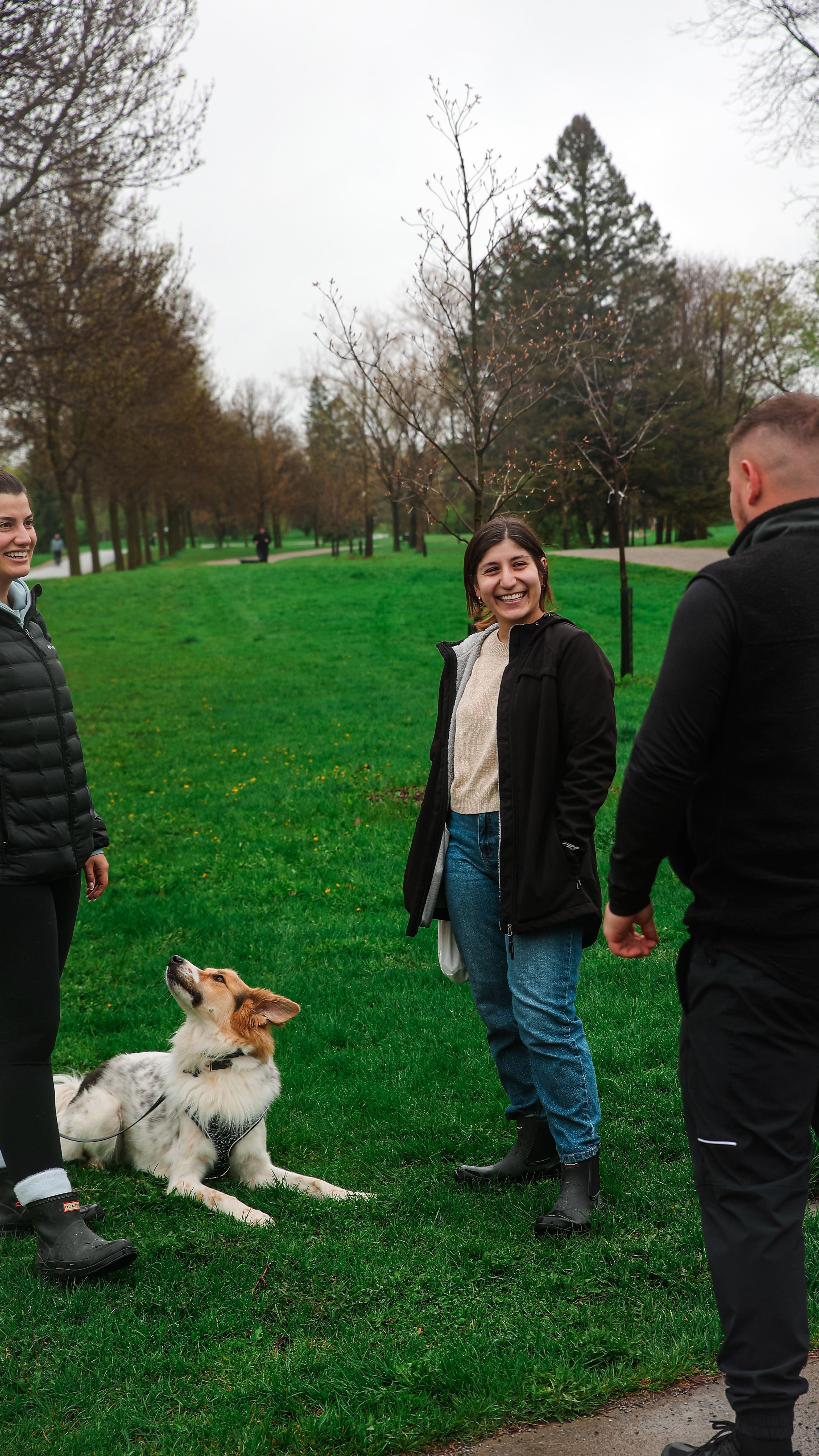 Consultation de dressage canine dans un parc montréalais